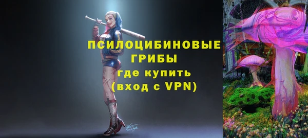 гидропоника Алзамай