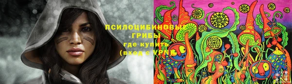гидропоника Алексеевка