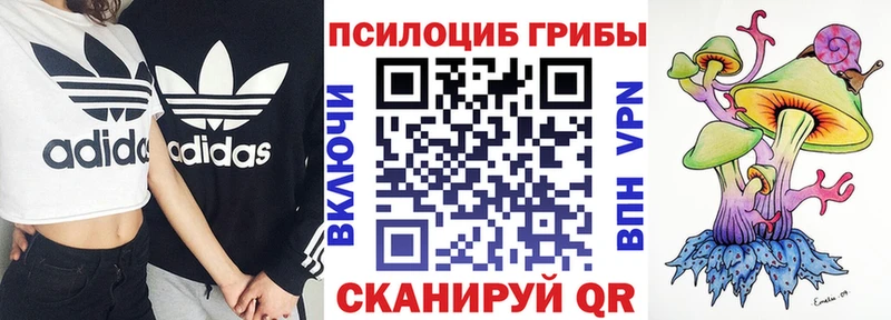 купить наркотики цена  Якутск  Галлюциногенные грибы мухоморы 