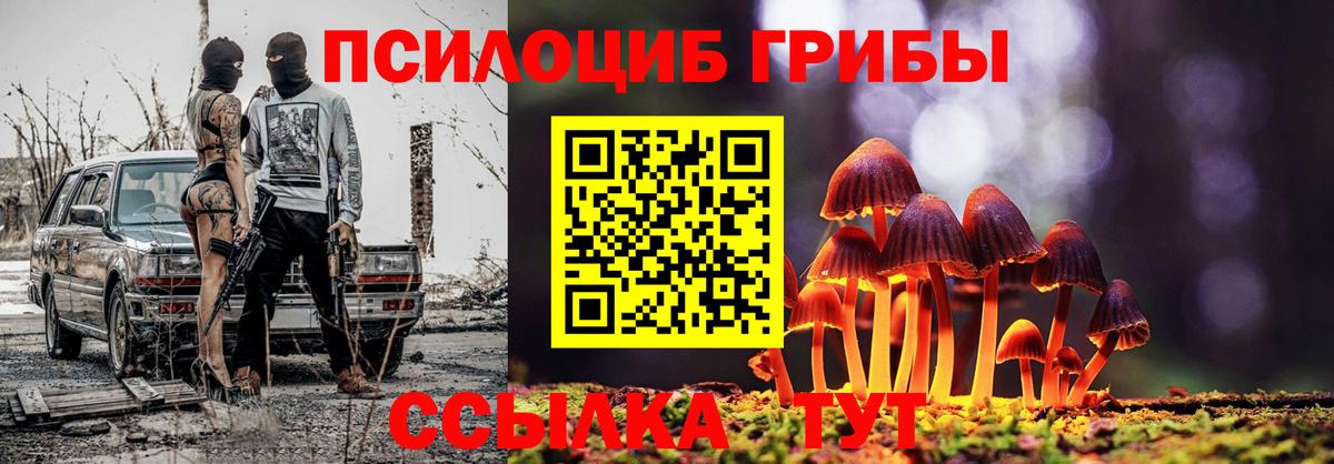 Псилоцибиновые грибы GOLDEN TEACHER Якутск